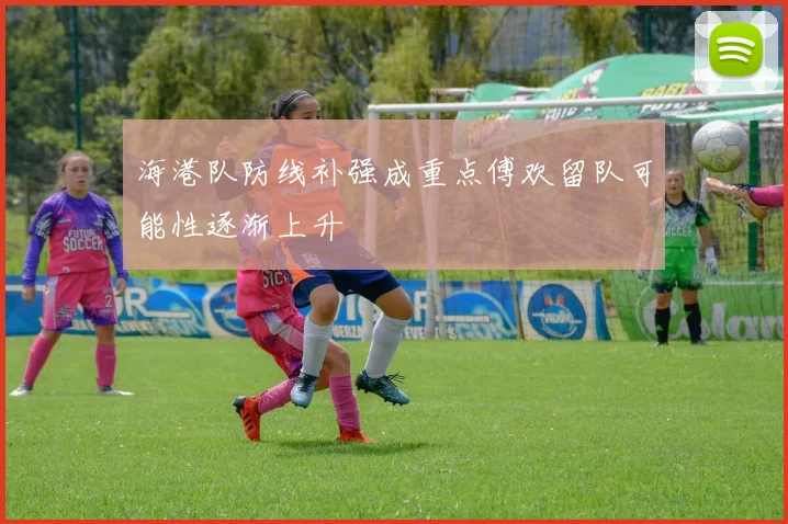海港队防线补强成重点傅欢留队可能性逐渐上升