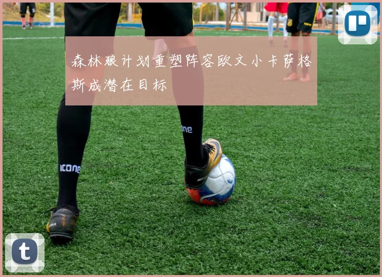 森林狼计划重塑阵容欧文小卡萨格斯成潜在目标