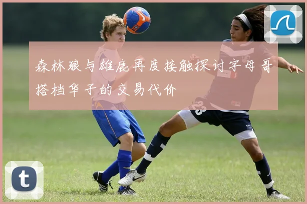 森林狼与雄鹿再度接触探讨字母哥搭档华子的交易代价