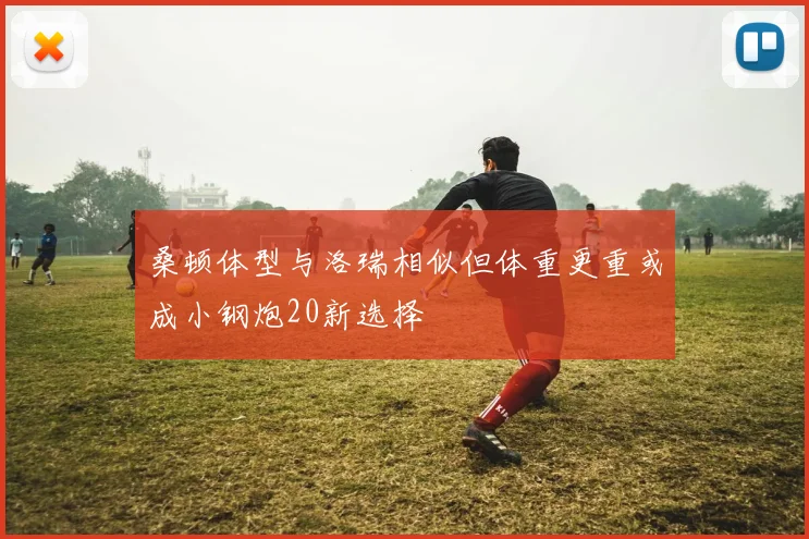 桑顿体型与洛瑞相似但体重更重或成小钢炮20新选择